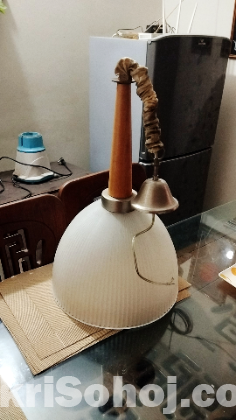 2 large ceiling hanging light shades